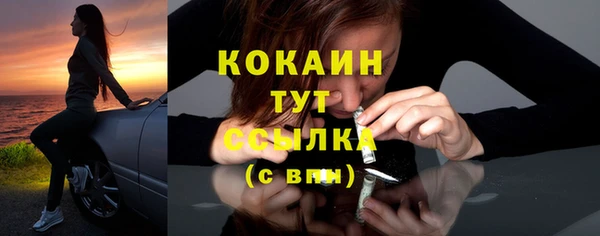 прущая мука Няндома
