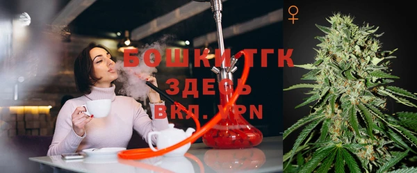 сатива Арсеньев