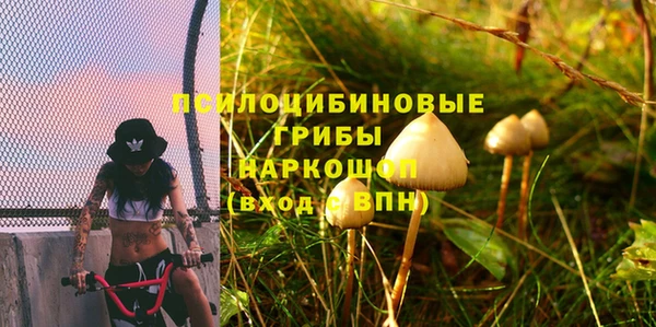 сатива Арсеньев