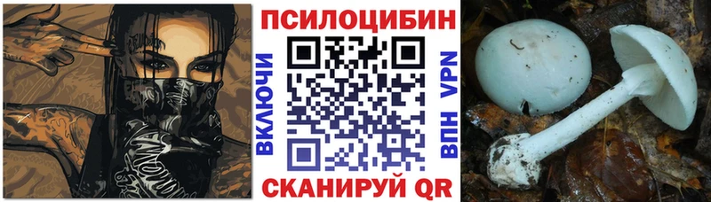 Галлюциногенные грибы мицелий Рудня